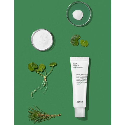 Krem COSRX Pure Fit Cica 50 ml na zielonym tle, białe opakowanie z aplikatorem. Obok krem w miseczce, proszek w szklanym naczyniu oraz liście gotu kola i gałązka, podkreślające naturalne składniki.