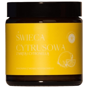 MGlife Zitruskerze mit Minze und Citronella 120 ml