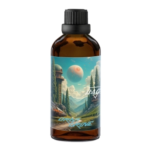 HAGS alkoholfreie After-Shave-Lotion Orbit Grove 100 ml